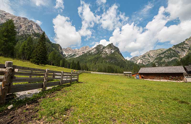 Wanderung zur Grünwaldalm